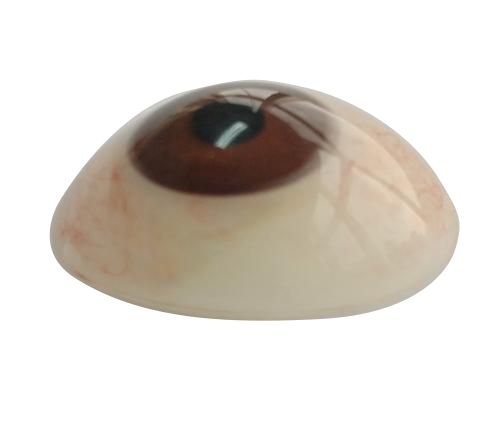 崇左微雕义眼定制